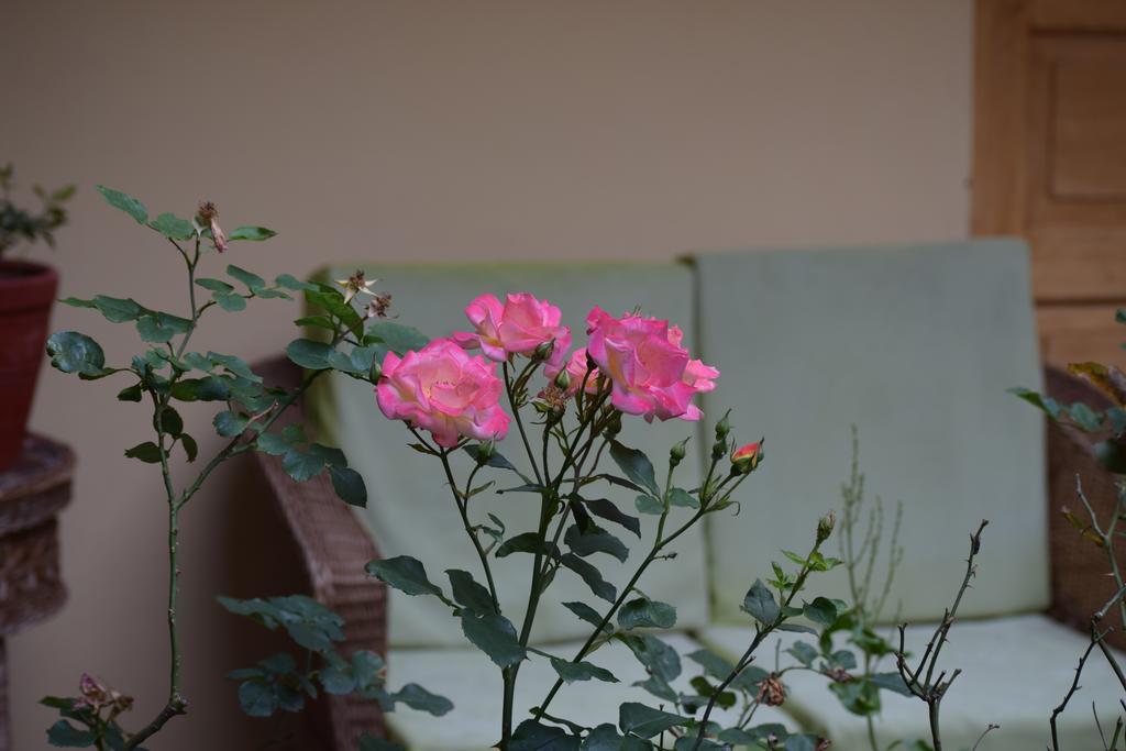 Hostal Qorichaska กุสโก ภายนอก รูปภาพ